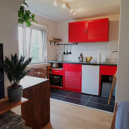 דרזדן Kleines Studio Am Uni-Campus - Perfekt Fuer Junge Unternehmungslustige מראה חיצוני תמונה
